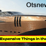 What is the Most Expensive Thing in the World Update 2024