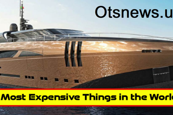 What is the Most Expensive Thing in the World Update 2024